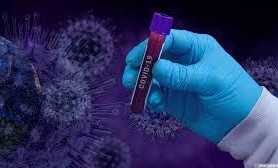 В России провели более 67,3 миллиона тестов на коронавирус