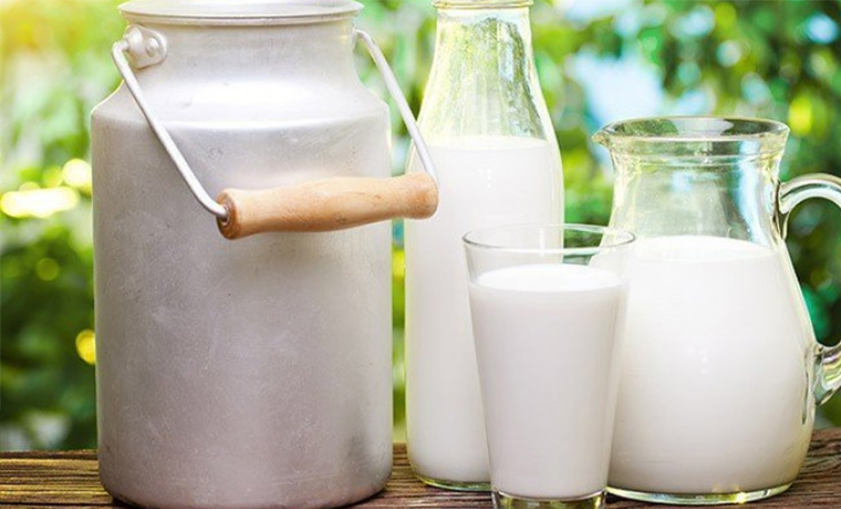 Россия с 26 февраля запретит ввоз молочной продукции из Белоруссии 
