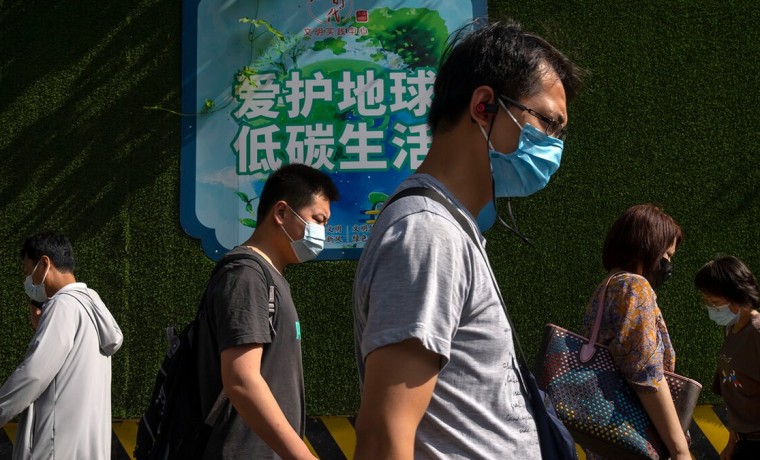 Новый вид генипавируса обнаружили в Китае