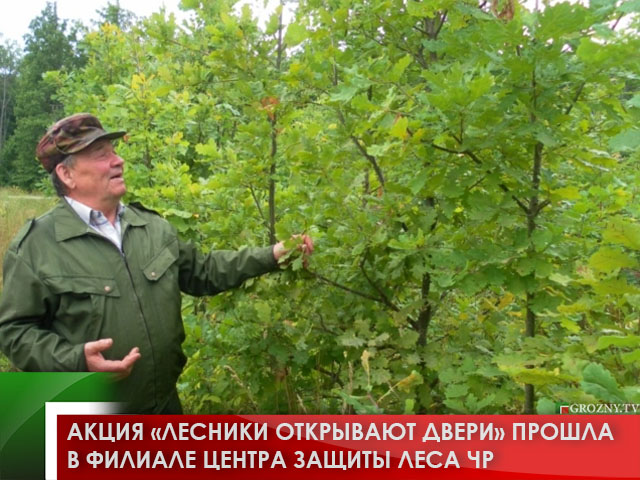 Акция «Лесники открывают двери» прошла в филиале Центра защиты леса ЧР