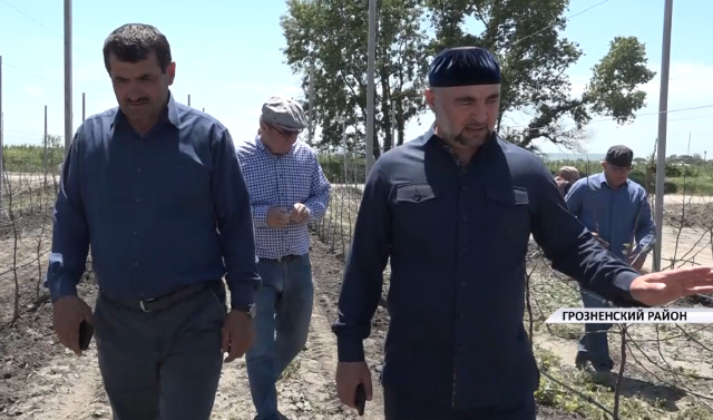 Министр сельского хозяйства ЧР посетил одну из крупнейших в регионе агрофирм - «Луч 15»