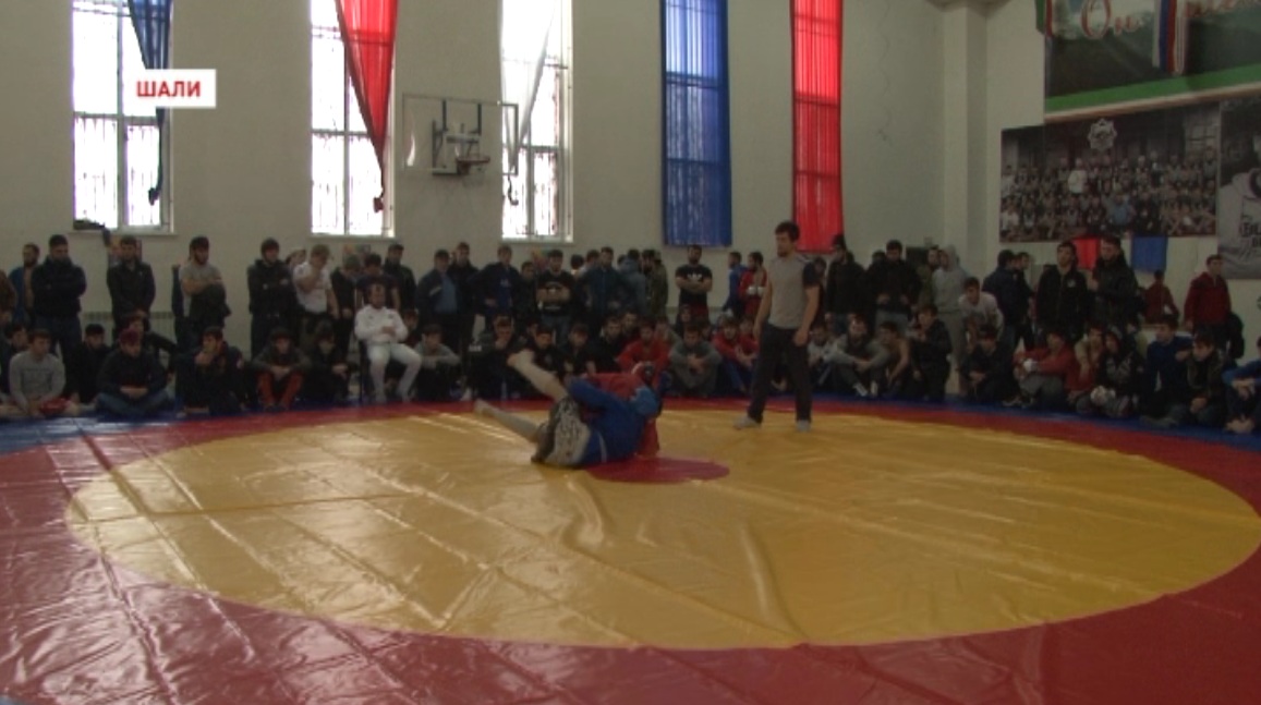 В спорткомплексе города Шали прошел чемпионат Чечни по боевому самбо 