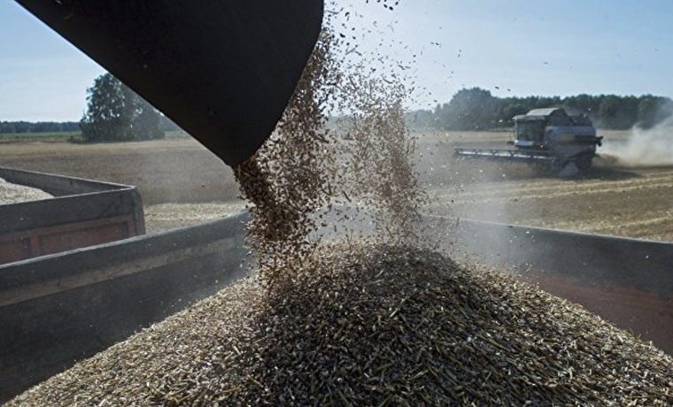 Россия может начать поставки пшеницы в Венесуэлу в начале 2017 года