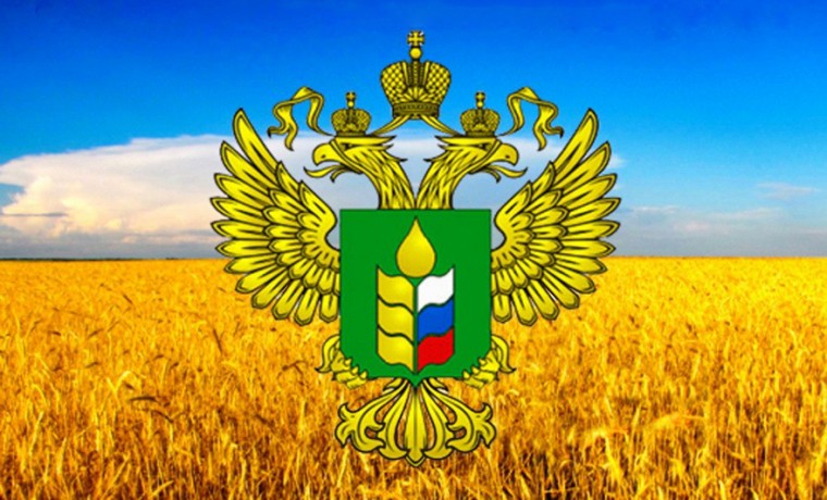 Россия поставила рекорд по поставкам продовольствия за рубеж в 2020 году