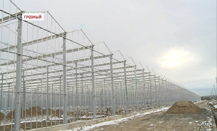 В Грозном завершается  строительство тепличного комплекса «ЮгАгроХолдинг»
