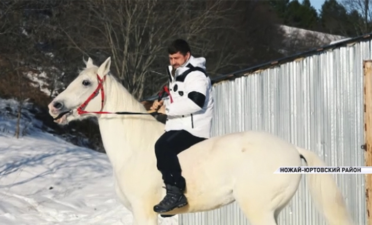  Рамзан Кадыров призвал провести новогодние праздники в горах Чечни