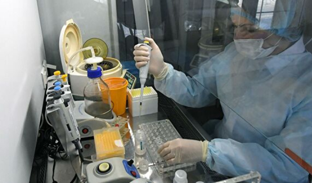 В России сделали более 116 тыс. тестов на коронавирус
