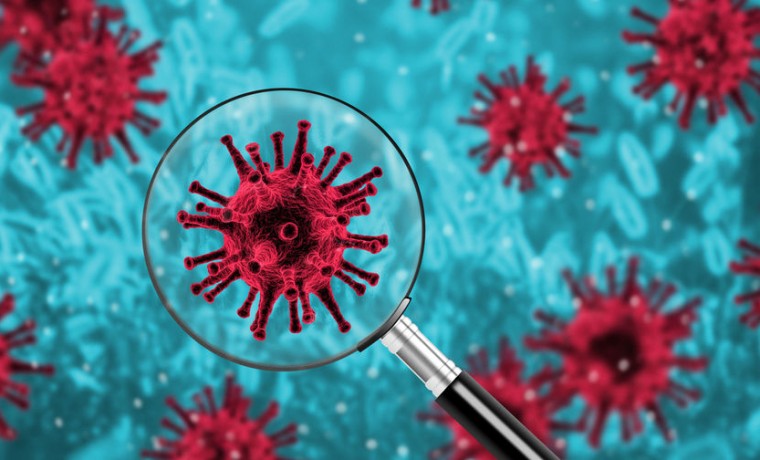 В ЧР зафиксировано 4 случая заражения коронавирусом