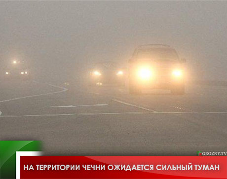 На территории Чечни ожидается сильный туман