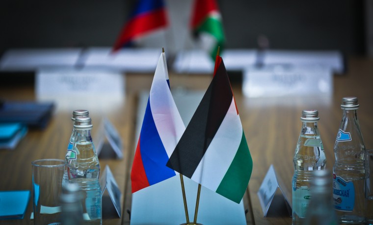 ХАМАС: Мы ценим позицию Президента РФ, отвергающего агрессию и блокаду Газы