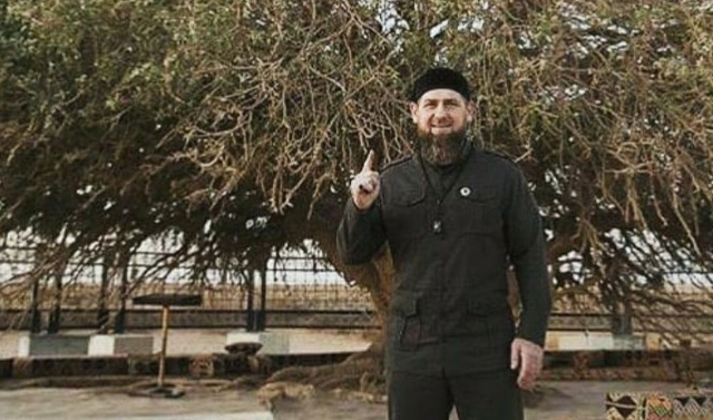 Рамзан Кадыров поручил благоустроить территорию вокруг дерева, под которым отдыхал Пророк Мухаммад