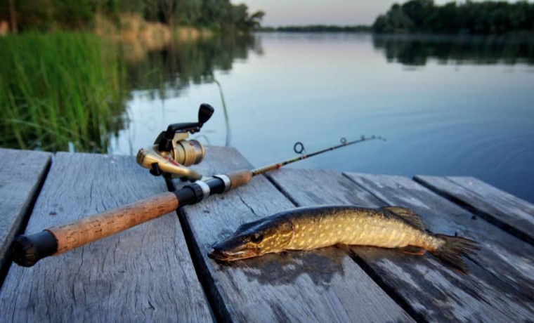 В Чеченской Республике пройдет рыболовочный турнир “Big Fishing -2021”