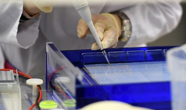 В России получили антитела, нейтрализующие коронавирус нового типа