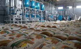 В Чеченской Республике до конца 2020 года наладят производство и переработку риса