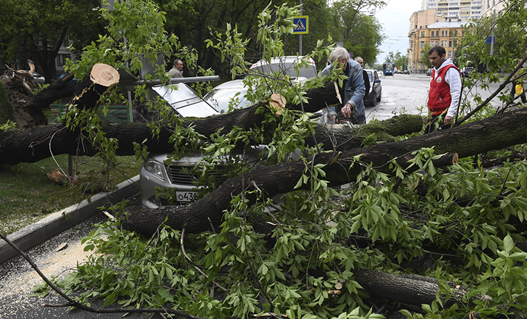 Число погибших после урагана в московском регионе увеличилось до 16