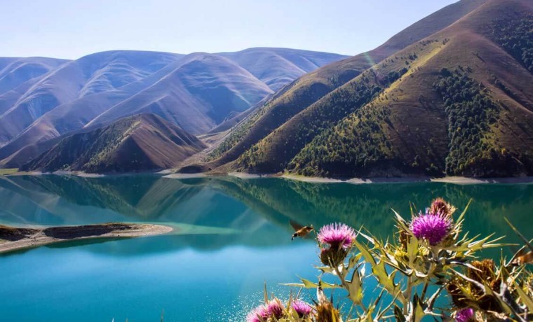 В ЧР пройдет Спортивно-туристический фестиваль «Open Chechnya»