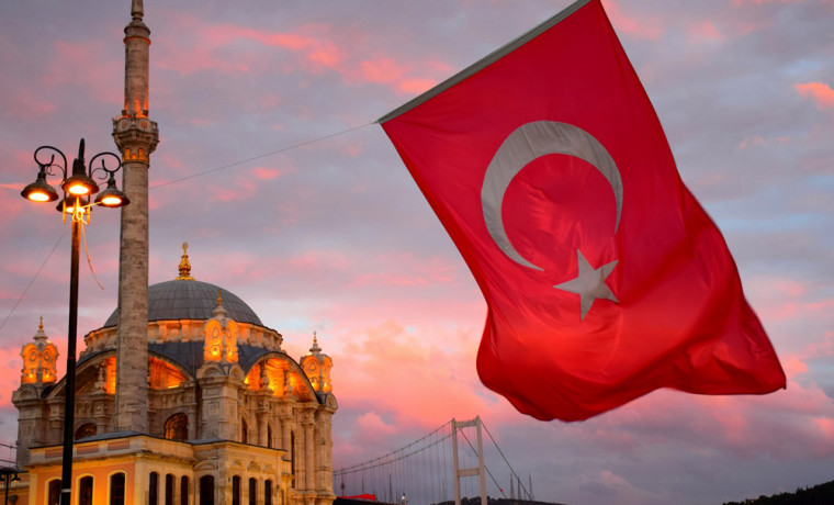 Турецкий историк рассказал, что нашел для Анкары альтернативу НАТО