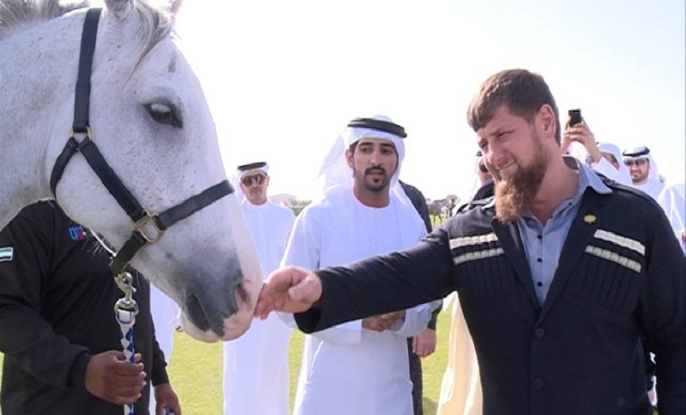 Рамзан Кадыров стал владельцем самой выносливой лошади в мире 