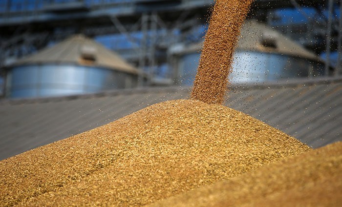 Россия установила исторический рекорд по экспорту зерна