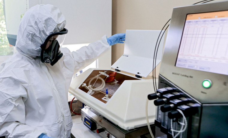 Центр Гамалеи разработал тест на вируснейтрализующие антитела к "омикрону"