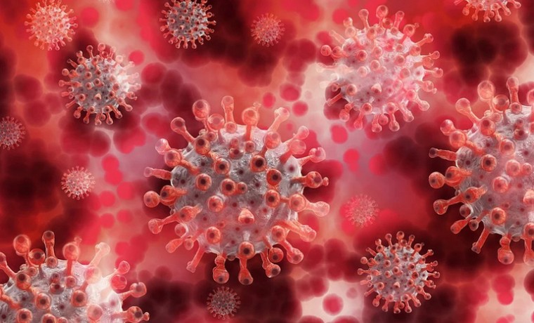 ВОЗ: Штамм "Дельта" в два раза заразнее изначального коронавируса