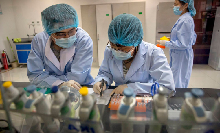 Ученые из Китая создали антитела против штамма-омикрон
