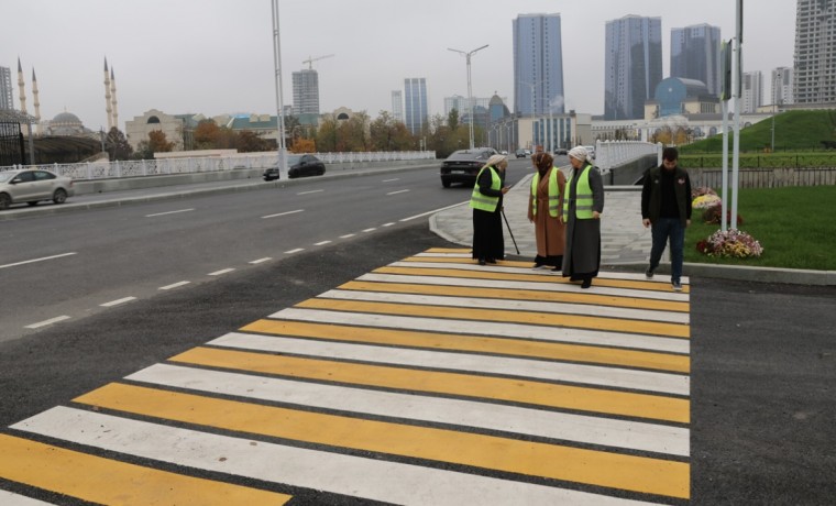 В Грозном общественные контролеры проинспектировали улицу Шерипова