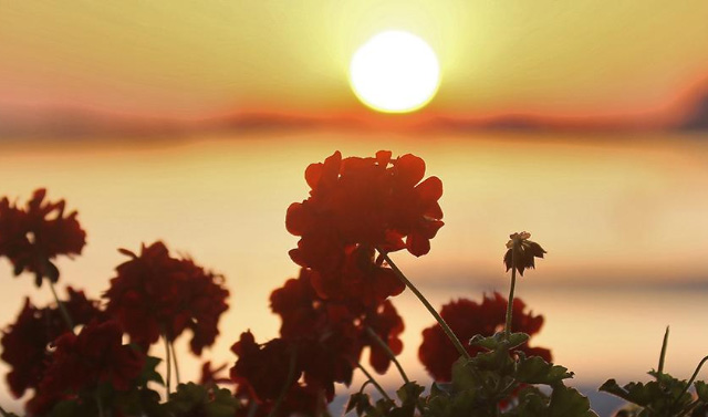 Синоптики предупредили о 40-градусной жаре на юге России