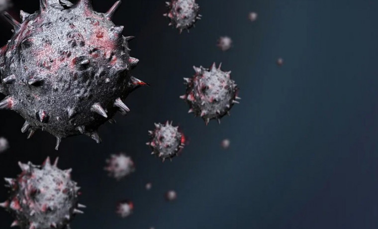 Роспотребнадзор: «дельтакрон» пока не следует называть новым вариантом коронавируса