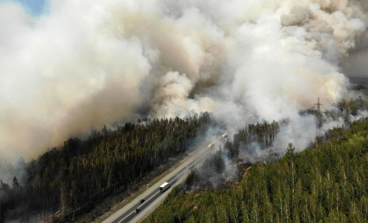 Названы регионы, находящиеся в зоне риска возникновения пожаров до конца мая