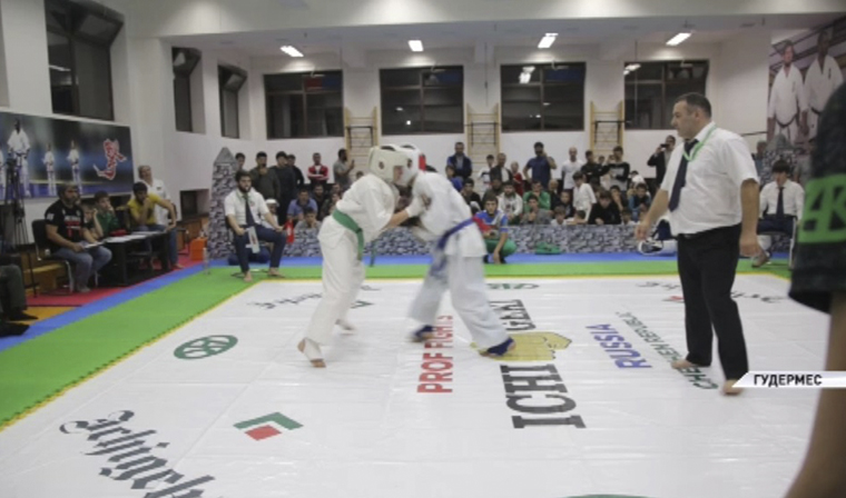 В Грозном состоялся открытый юношеский турнир по каратэ