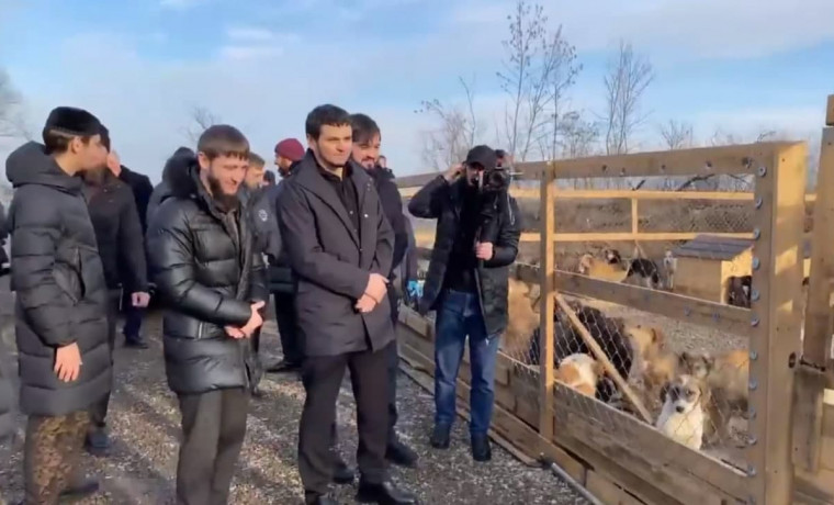 Хас-Магомед Кадыров посетил городские приюты для бездомных собак