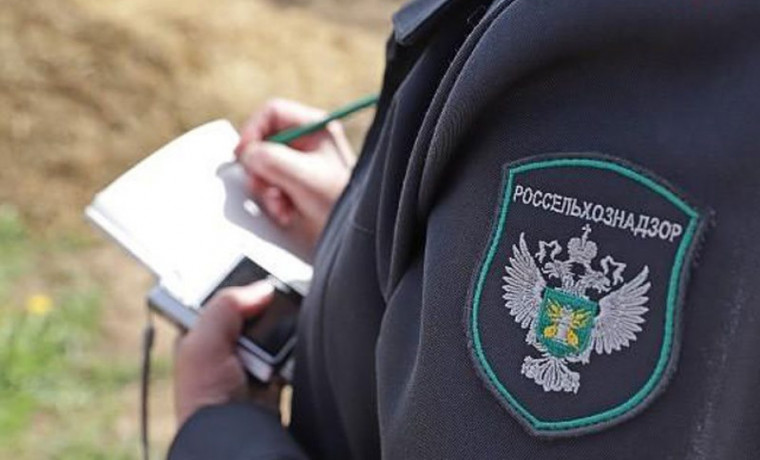 Россельхознадзор выдал предостережение цирку за неуведомление о гастролях в Чеченской Республике