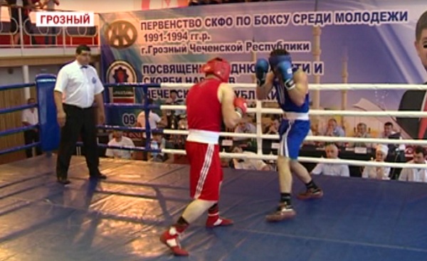 В Грозном прошло первенство СКФО по боксу