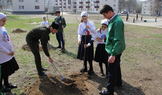 Школьники Грозного высадили более 1500 деревьев в рамках акции «Зеленый город»