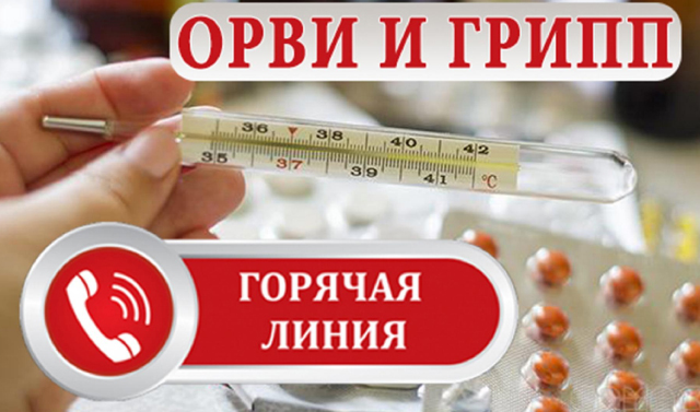 Роспотребнадзор открыл всероссийскую горячую линию по профилактике гриппа и ОРВИ