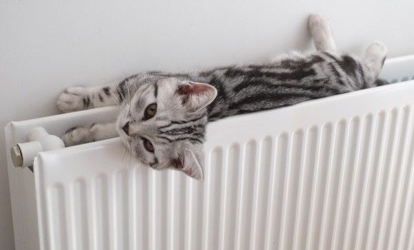 Отопительный сезон в Грозном стартует 17 октября