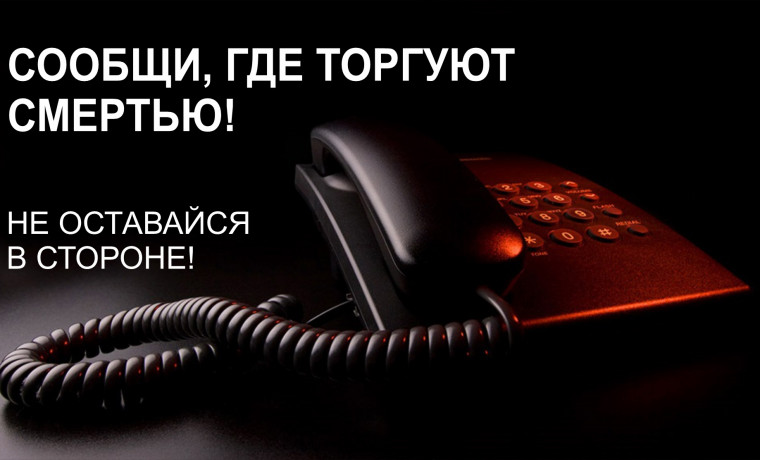 В Чеченской Республике стартовал 1-й этап Общероссийской акции «Сообщи, где торгуют смертью»