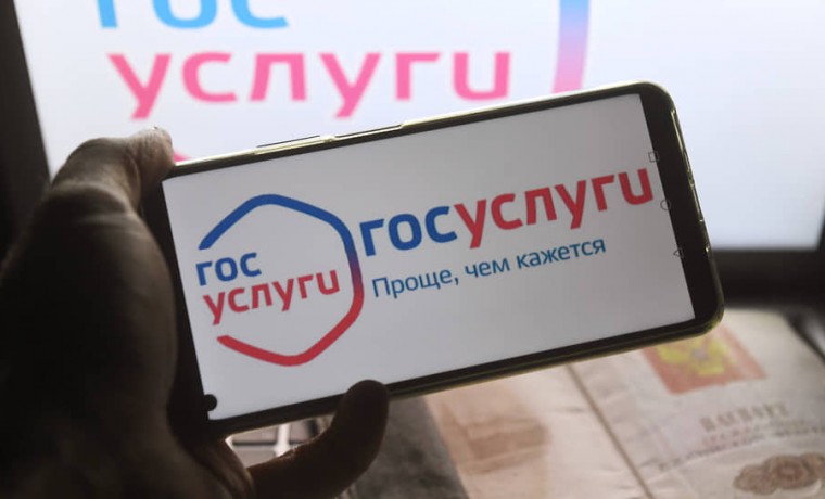 Выросло число абитуриентов, подавших документы через Госуслуги