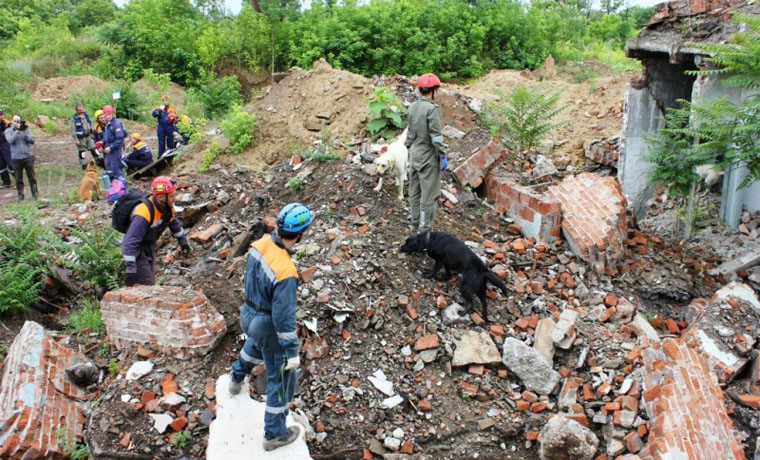 В Грозном пройдут Открытые соревнования среди кинологов