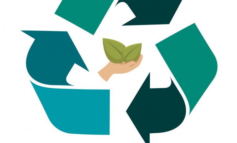В ЧР реализуется студенческий экологический проект «Чистая среда»