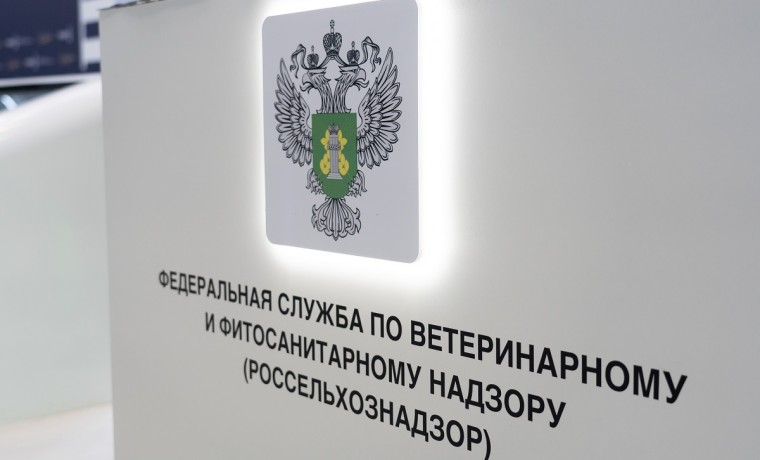 Россельхознадзор усилил ветеринарный контроль на границах Чеченской Республики