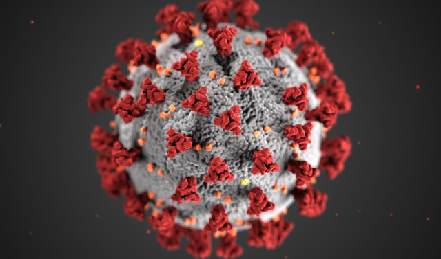 В России за сутки выявили 8 985 новых случаев коронавируса