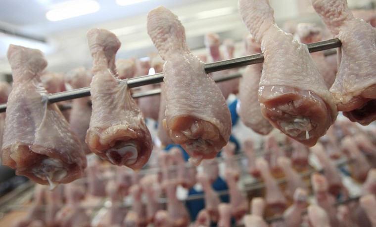 Федеральная антимонопольная служба начала проверки производителей куриного мяса и яиц