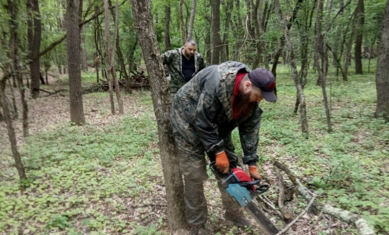 В Грозненском лесничестве провели работы по уборке неликвидной древесины