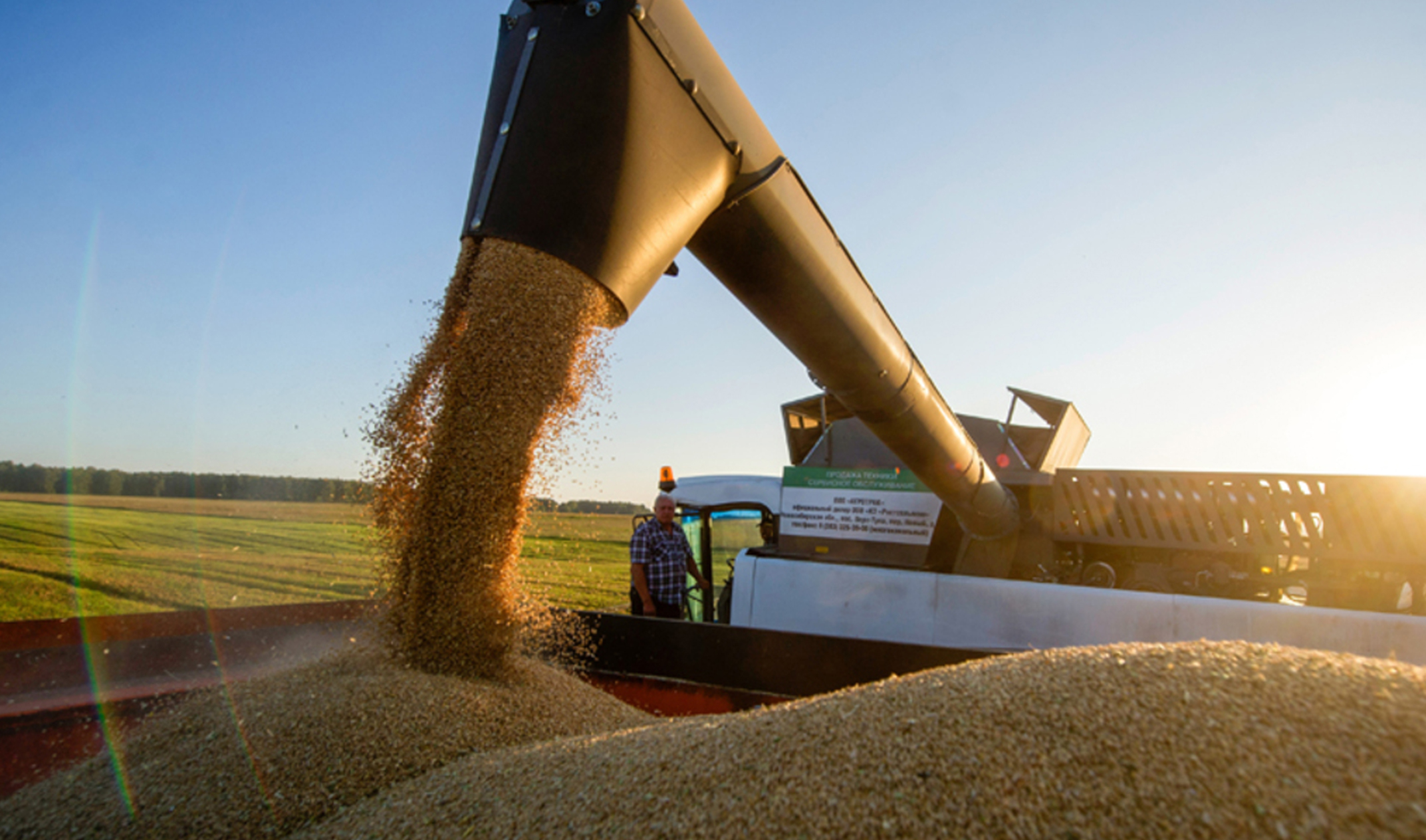 Китай заинтересован в увеличении поставок российского зерна
