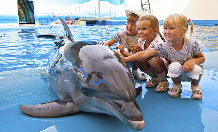 В Грозном строится современный дельфинарий