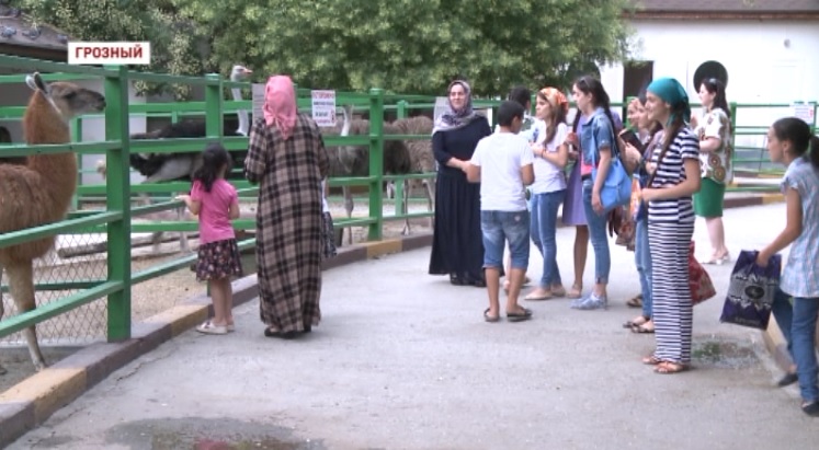 Грозный посетила группа дагестанских  школьников