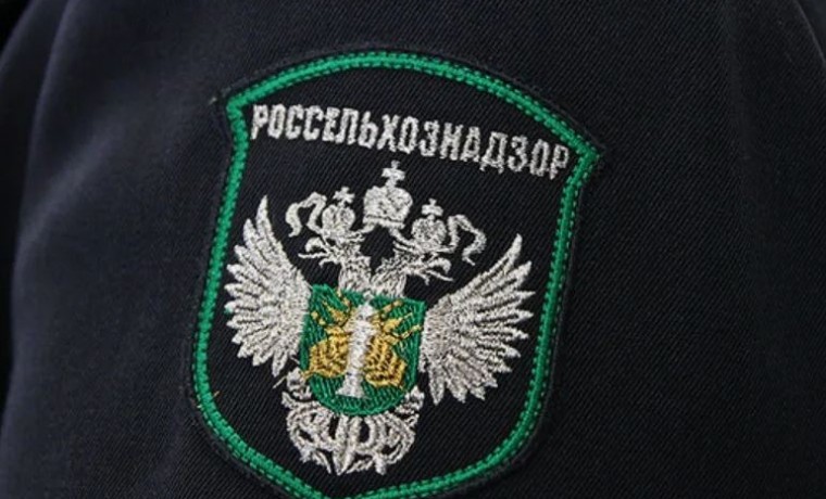 Россельхознадзор усиливает контроль на границах Чеченской Республики