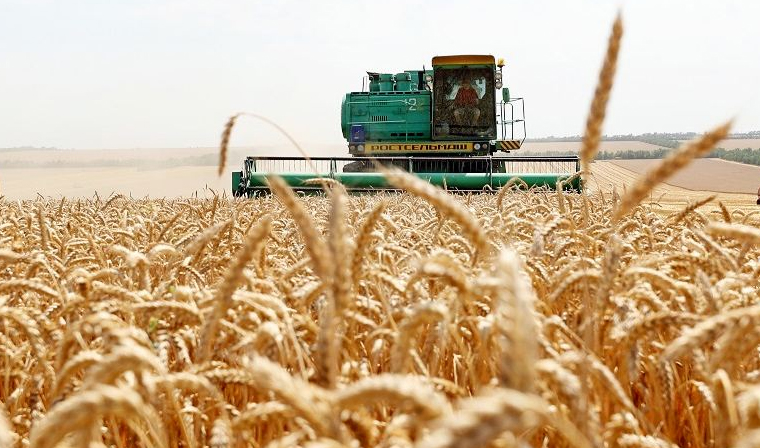 СМИ узнали о просьбе аграриев из регионов ограничить экспорт зерна